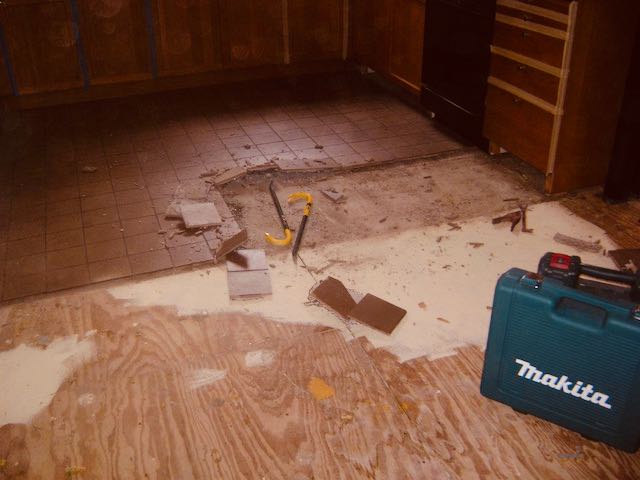 Tearing out the old floor